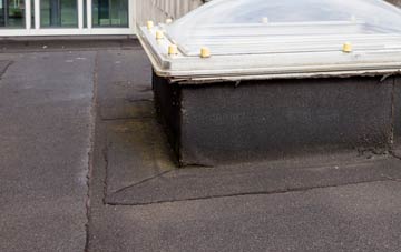 disadvantages of Hartington flat roofs