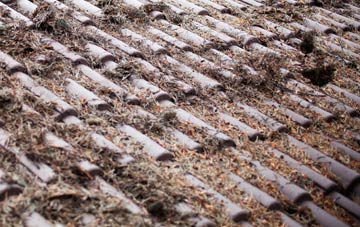 Hartington roof cleaning companies